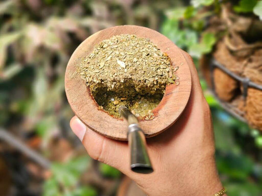 Descubre la magia de la Yerba Mate: beneficios que te sorprenderán