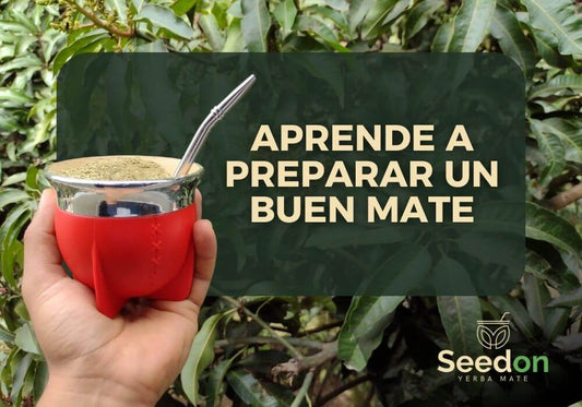 Preparando el Mate Perfecto: Tu Guía para una Experiencia Extraordinaria